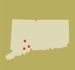 connecticut.gif