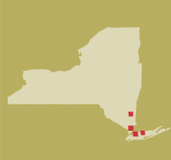 newyork.gif
